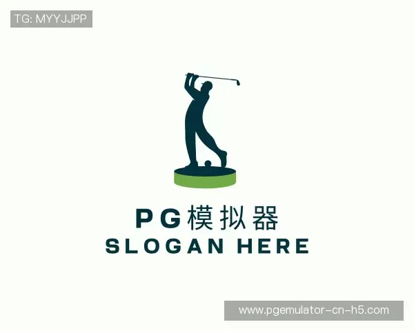 了解pg模拟器